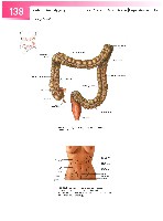 Sobotta  Atlas of Human Anatomy  Trunk, Viscera,Lower Limb Volume2 2006, page 145